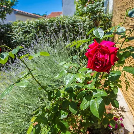 Rosse Apartment